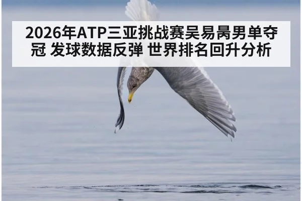 2026年ATP三亚挑战赛吴易昺男单夺冠 发球数据反弹 世界排名回升分析