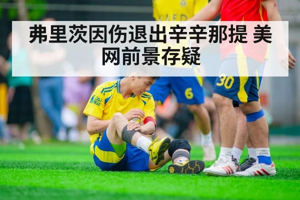 弗里茨因伤退出辛辛那提 美网前景存疑