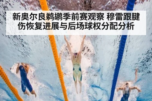 新奥尔良鹈鹕季前赛观察 穆雷跟腱伤恢复进展与后场球权分配分析